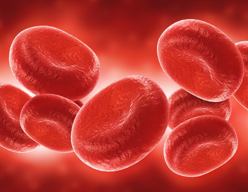 Improving on Second Stem Cell Transplant for Thalassaemia Major